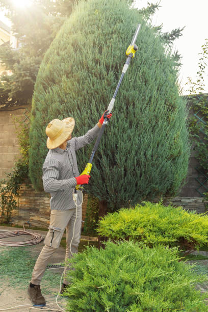 Best Lawn Pest Prevention  in Fort Oglethorpe, GA